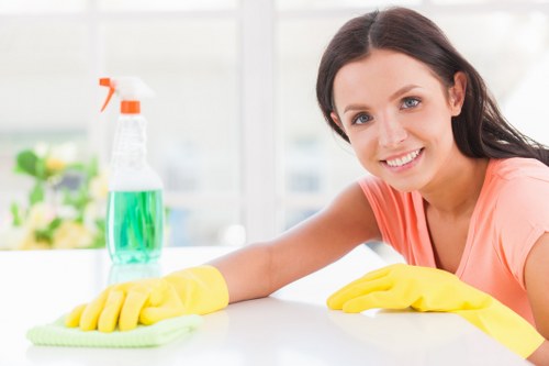 Steam carpet cleaning equipment in a Leytonstone home