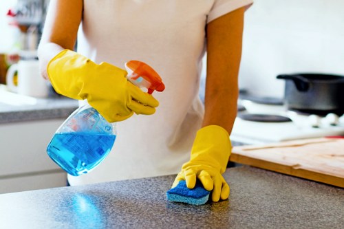 Professional pet stain odour removal in a Leytonstone living room