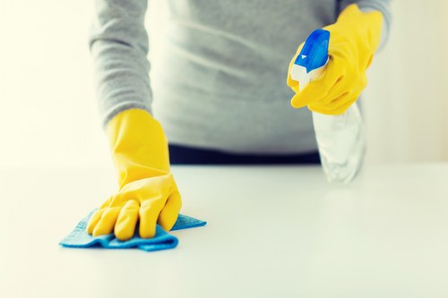 Clean fresh interior after pet stain odour removal service