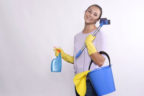 Specialist treating pet stain on upholstery in Leytonstone home